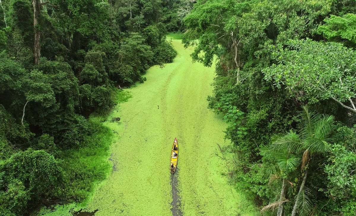Expedição de pesquisa e coleta de sementes