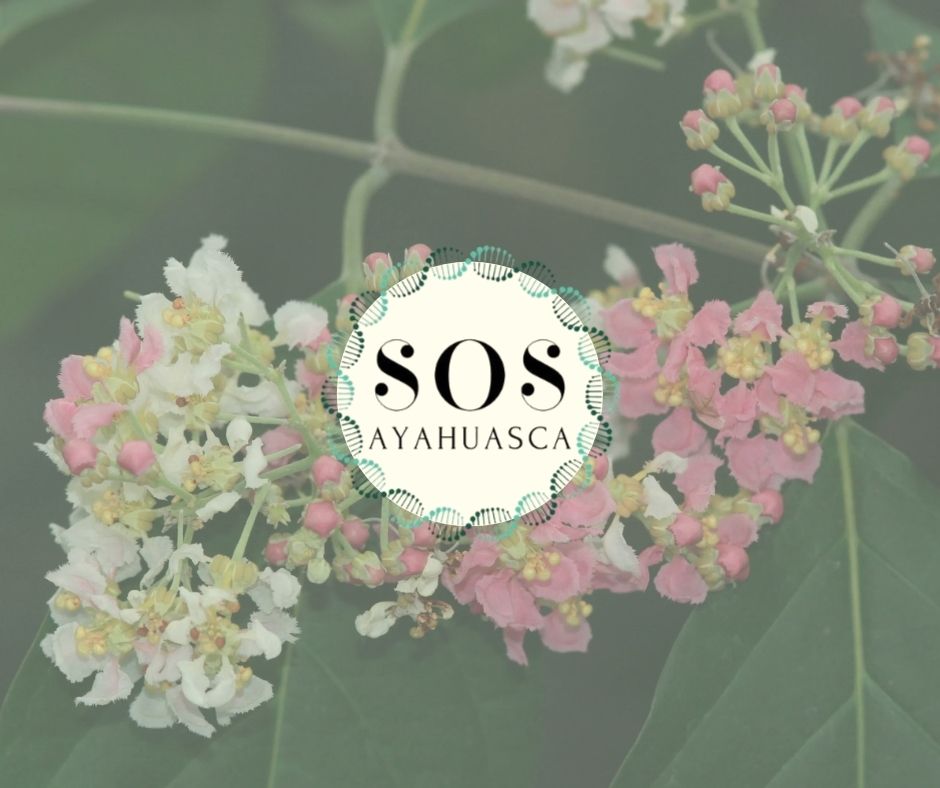 Lista de Aprovados Chamada Científica 2026/01