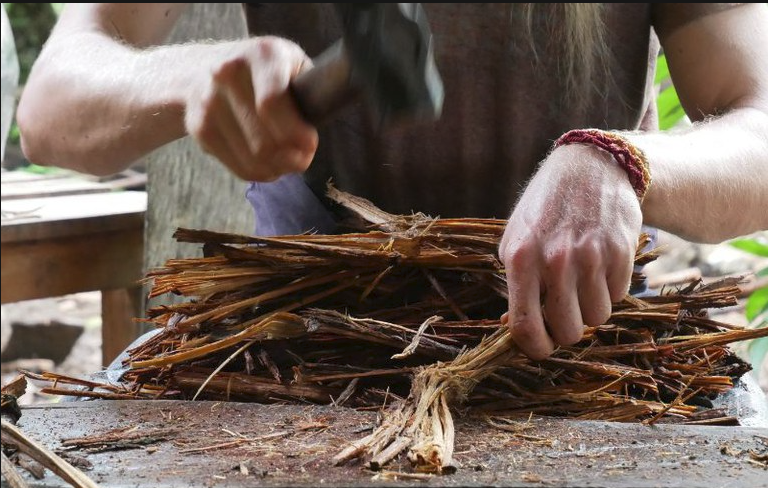 MPF recomenda revisão das regras sobre uso da ayahuasca no Brasil