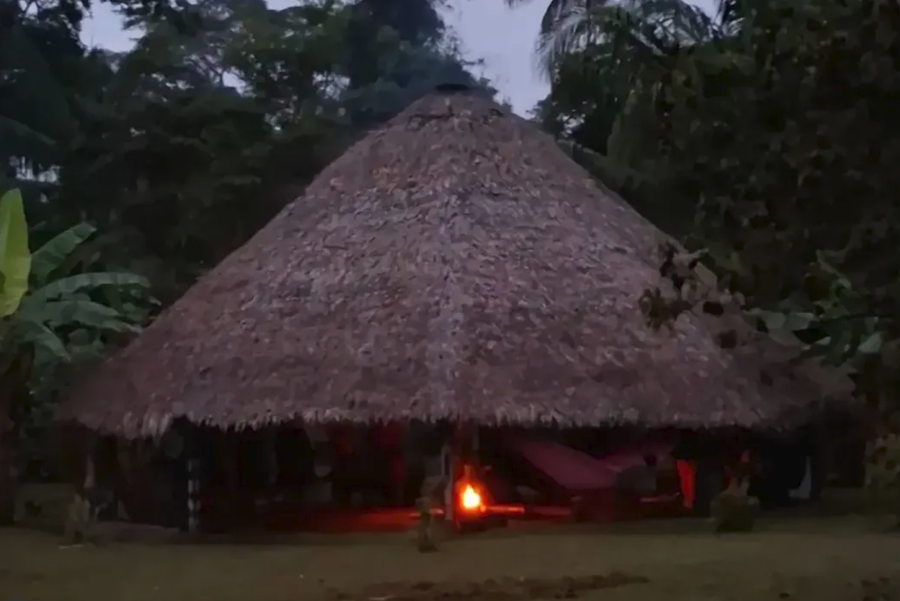 Área de cultivo e floresta no Acre